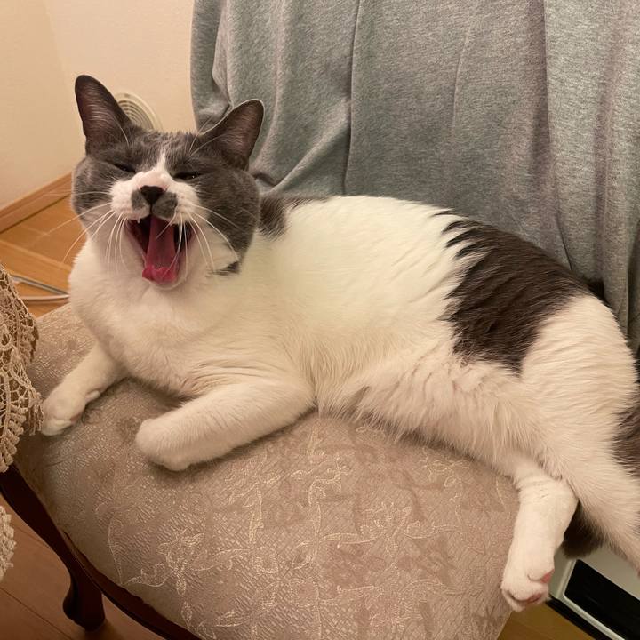 Ea992254 78b2 49b7 8901 17e0c27305b2 1636285074514