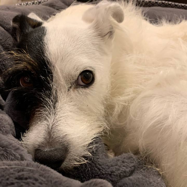 Ea994977 c137 4418 9b19 8978edb2d258 1626520737954