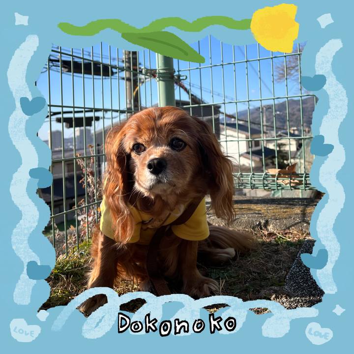 Ea995340 7819 4c28 a3de db38c483b6ee 1771903550905