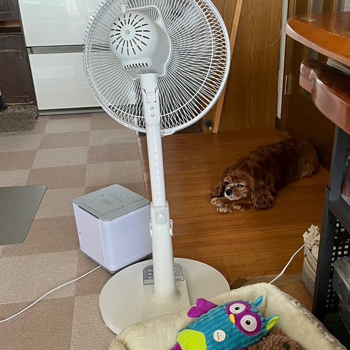 Ea99c0c6 2b50 4743 8826 dedabb15ce3b 1687925411430