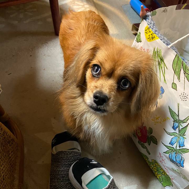 Ea99d1d3 1c85 4f21 9d2d 54cda633bb73 1575236096581