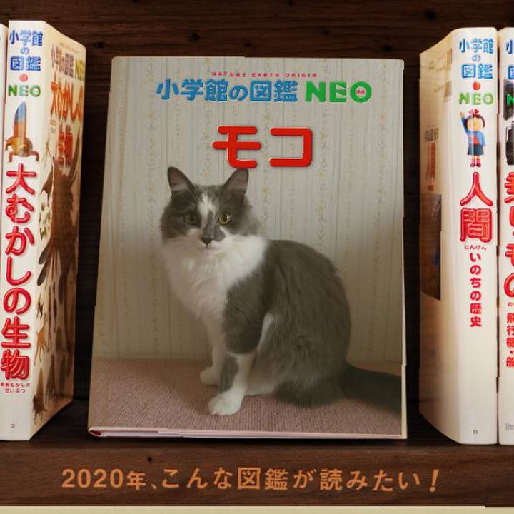 Ea99fc7d 9b6c 4ef6 88cf be4861fbd0a8 1578036759853