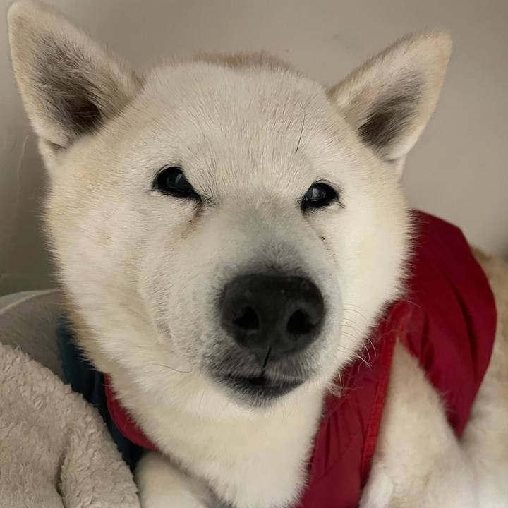 Ea9a2ec8 fdd6 4387 9d6f 85fb2b1cc673 1707546841416