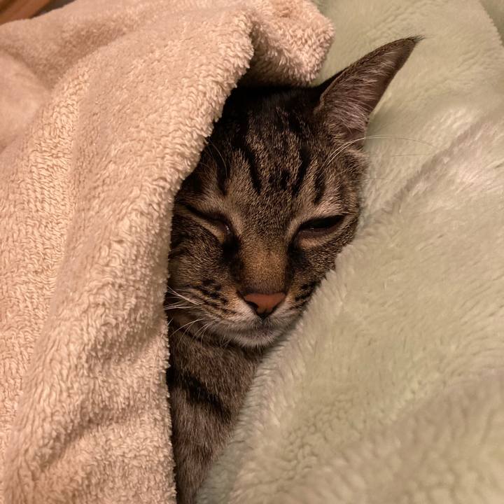 Ea9a439e 27d3 462a 8693 175e4705d260 1667725060947