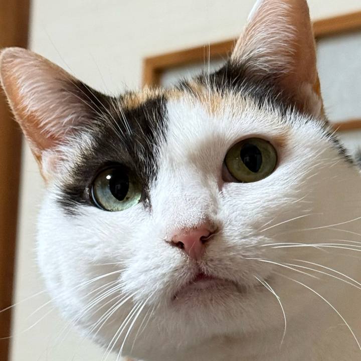 Ea9a709b 77e9 4709 9d41 e2a1a7069f93 1767063085717