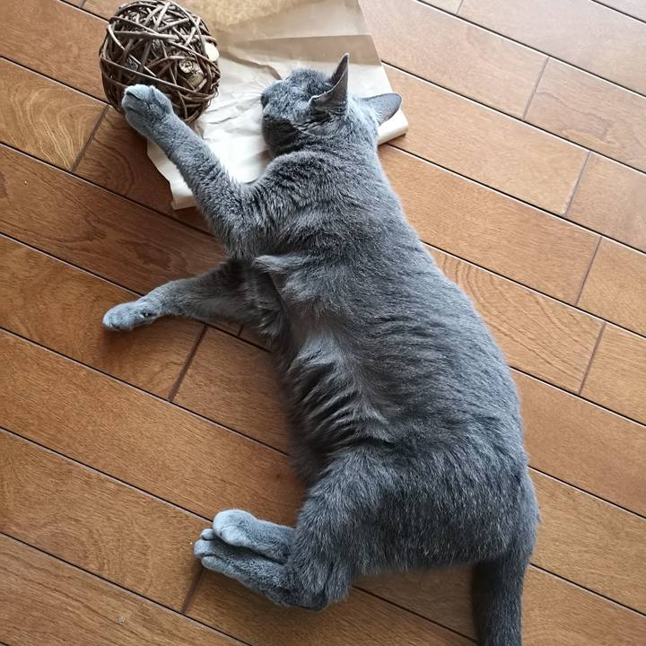 Ea9a8b56 ada3 4392 9ff3 19f9118b0858 1601676530344