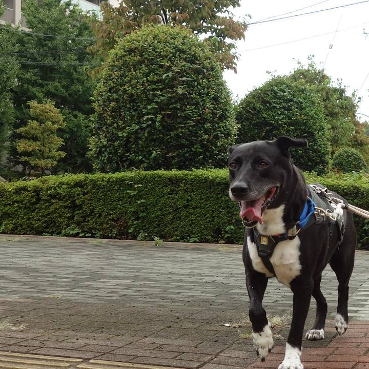 Ea9abb92 1979 46cf bb8d b6f94942859c 1662078171702