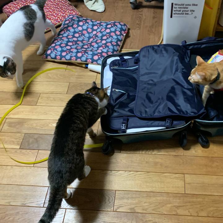 Ea9b0587 bae8 47b2 ac73 542e7b604fc6 1582115136126