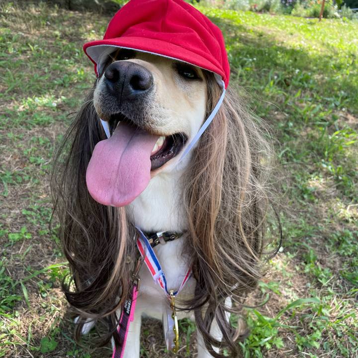 Ea9b1efd ab3d 4782 9299 ef6af1ef768c 1654086435403