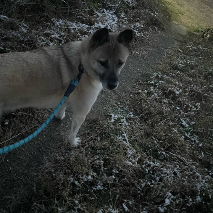 Ea9b623e 6117 4bca aa15 5ae69fffe4ac 1703160014643