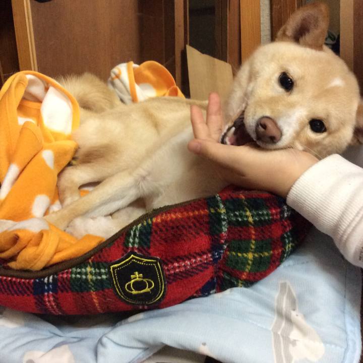 Ea9b833b debc 47d9 8653 676df80932c6 1508413296952