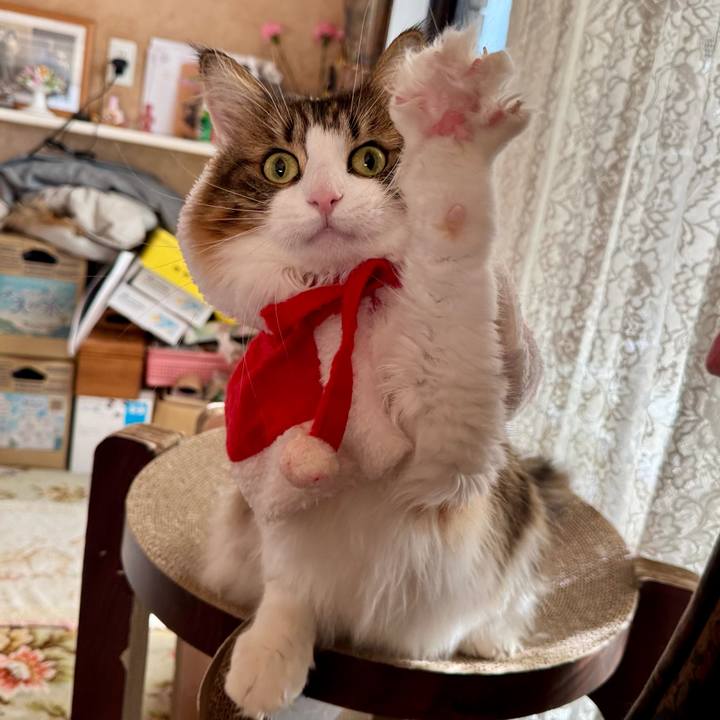 Ea9b885b fccd 4050 8aa9 270eeae113a4 1766454062082