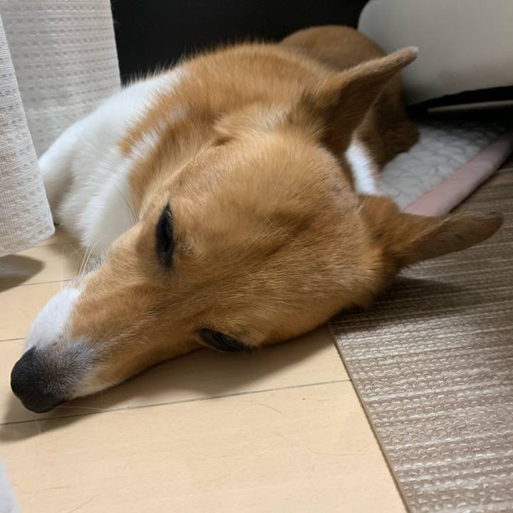 Ea9b9021 cb26 4704 bda7 68dae74eb945 1597788433689