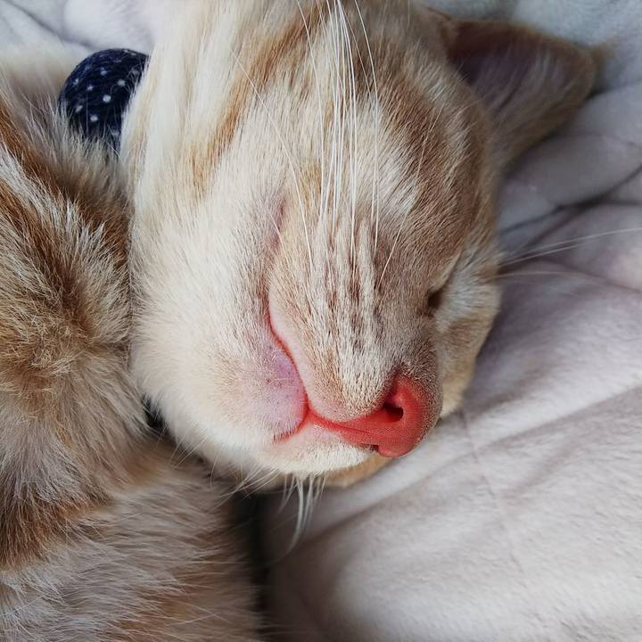 Ea9bcd7b 2e25 4298 b5ac 1b7d1b1f3452 1545628661929