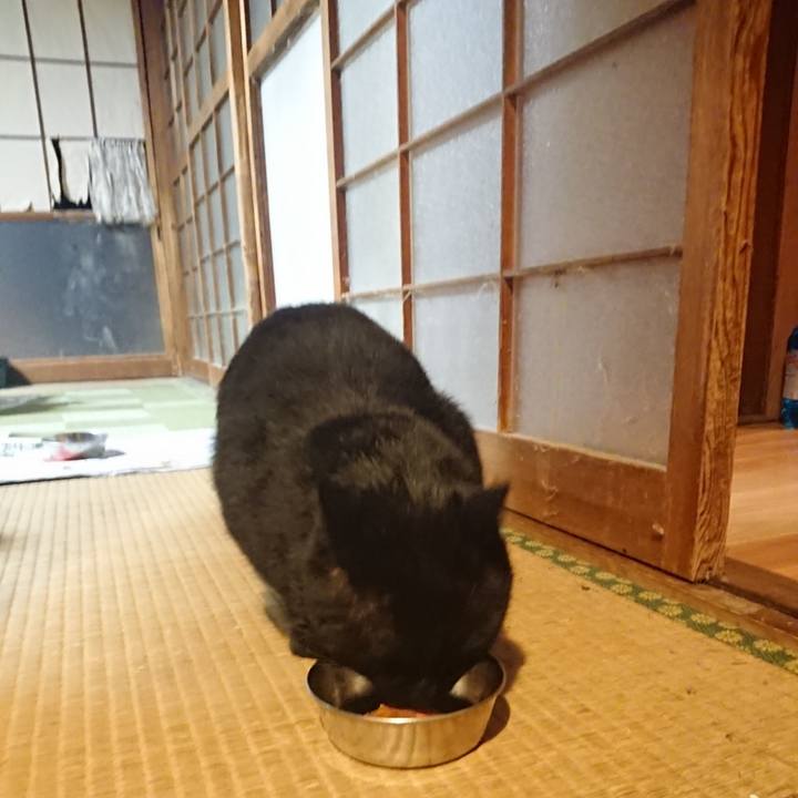 Ea9c215a 257b 4d61 8633 df2a64aef9e4 1614338873660