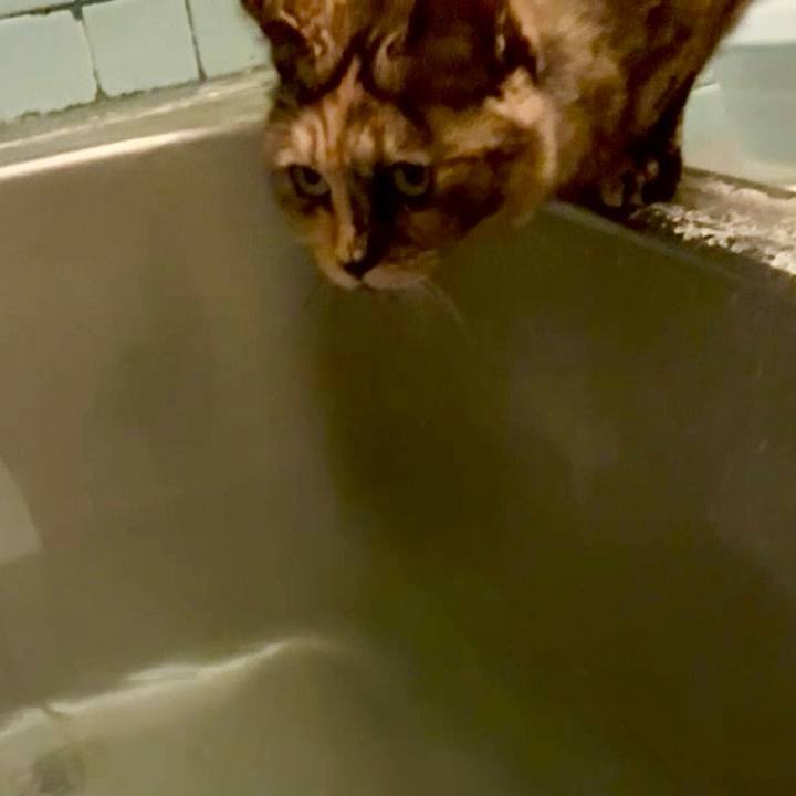 Ea9c3061 e190 4924 a794 d41a47826d6a 1764534521360