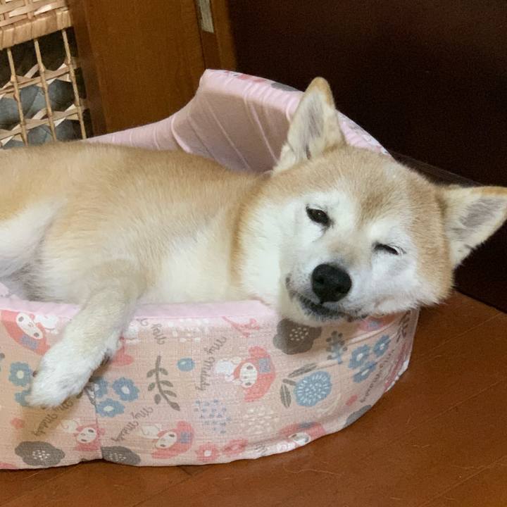 Ea9c3deb c5bb 4871 ba01 0757299c41d8 1729750104229