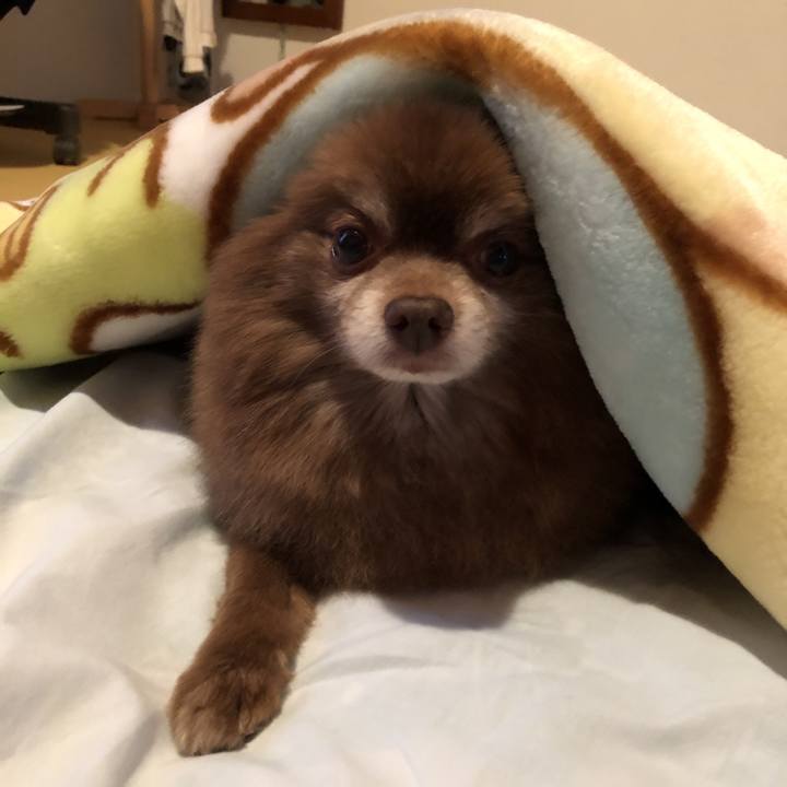 Ea9c6cb0 2026 4fdf 8750 03fe478925eb 1606632930623