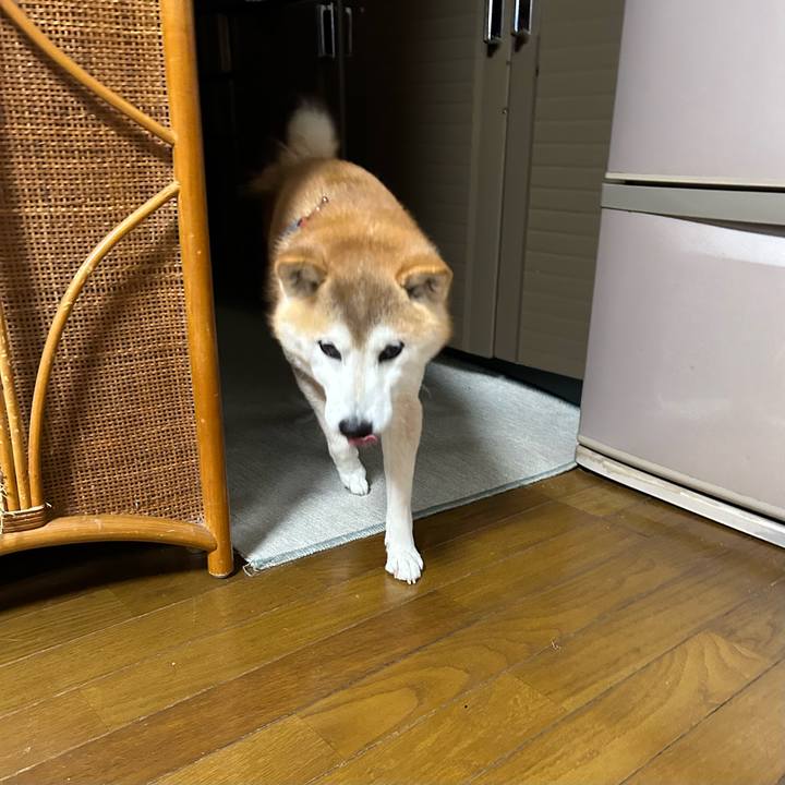 Ea9ca827 6401 46a1 b373 ea835bbd9edd 1706440392466