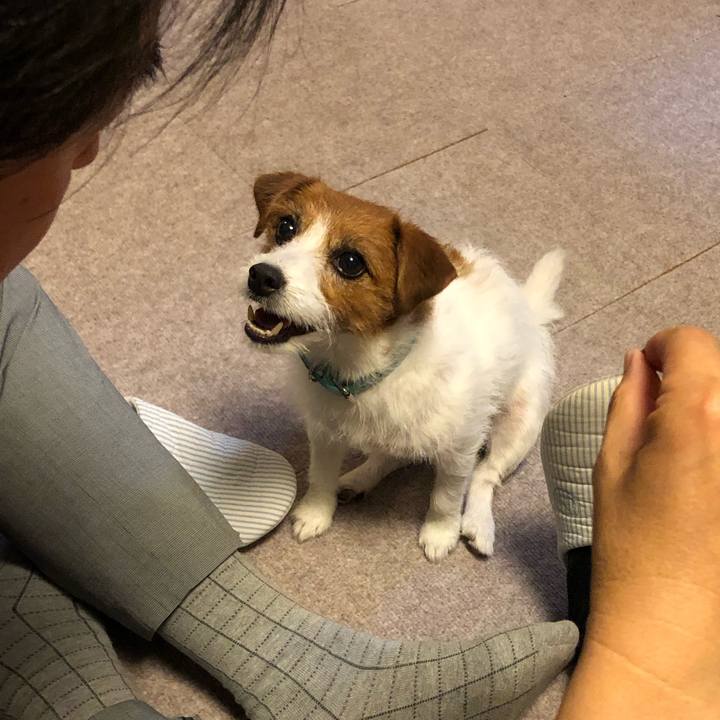 Ea9cab7e 7555 4975 b290 68a8a0ee161e 1560686990272