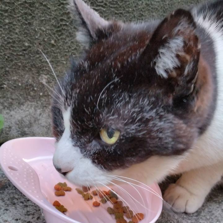 Ea9d065d 8e99 4202 929e d62cebf43969 1710321304089