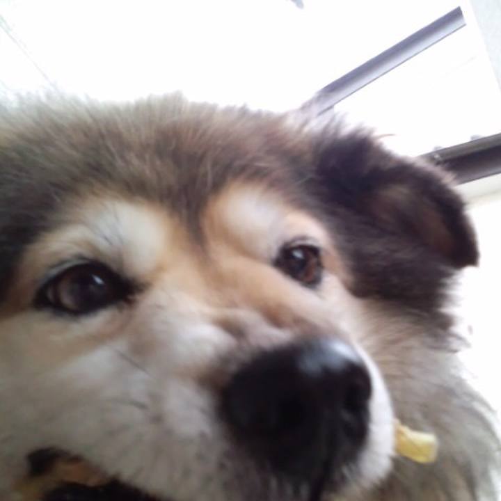 Ea9d1090 e2b7 4c55 82e2 02d61849a6df 1555295028921