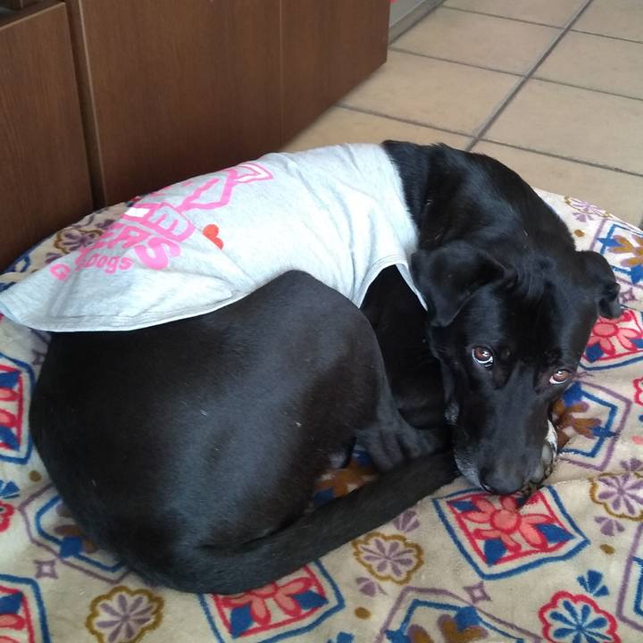 Ea9d258c 9081 4463 853b 4a24862a8161 1613465961780