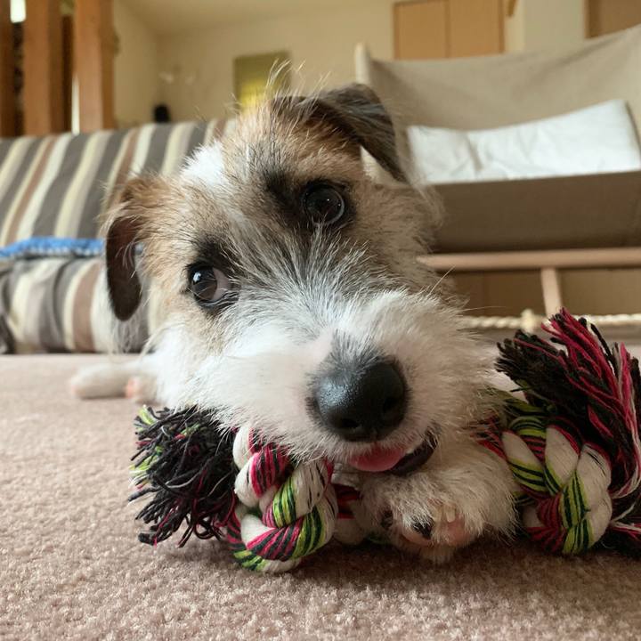 Ea9d50a6 cb21 4bfa a600 1dbbea06cc7f 1566620979093