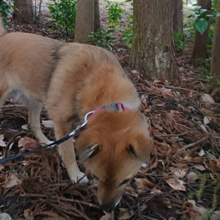 Ea9d52b1 e7ae 4e09 b33e ea0fc77510f7 1607844641201