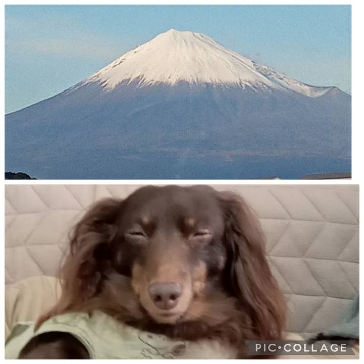 Ea9d53c2 cabe 4c32 8857 9856d58c3430 1767132181469