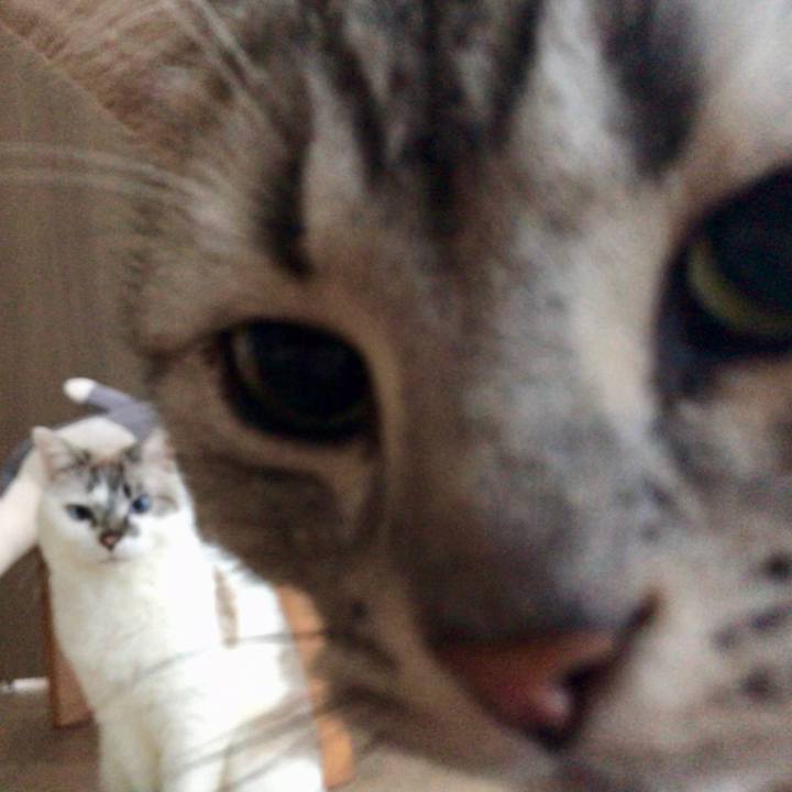 Ea9d56ab 4054 4838 9756 3a417e94d50f 1518743983039