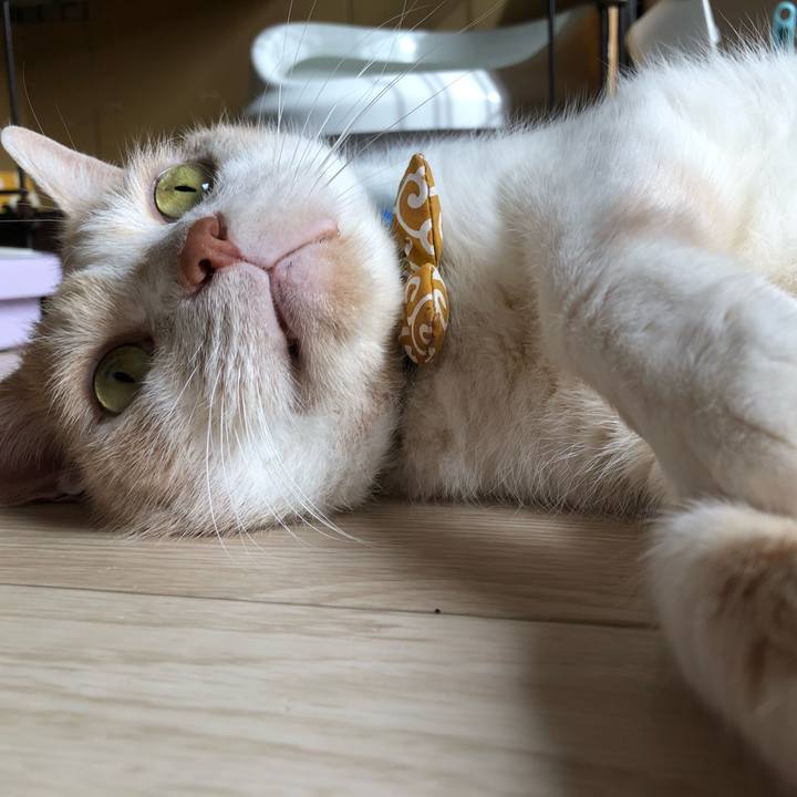 Ea9d7b9b 340f 44b1 a35d c1a34b177b3b 1601082403692