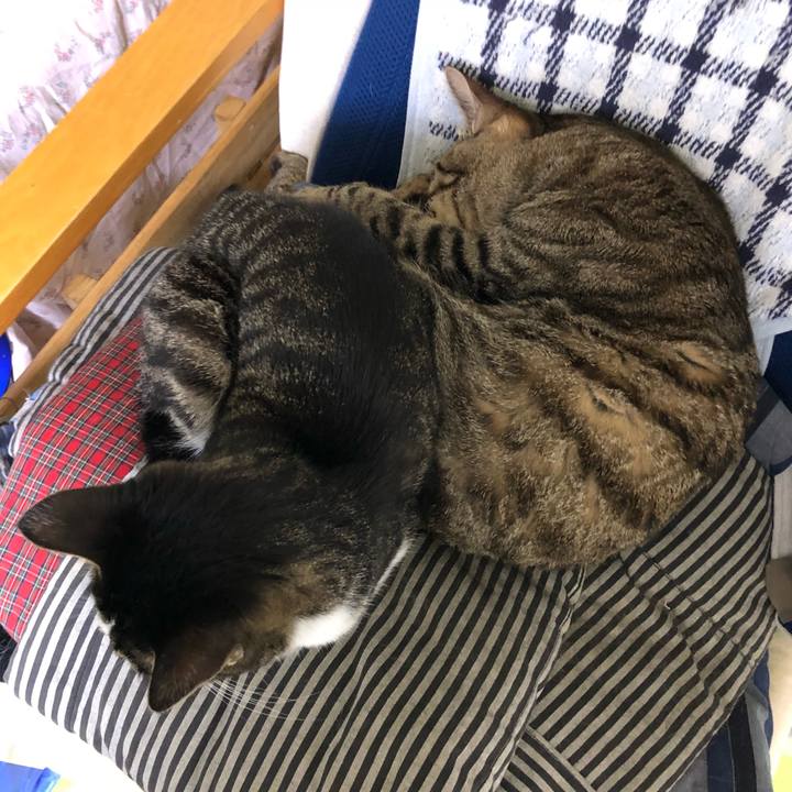 Ea9da198 17f1 4b27 ad1e b49428d5f437 1529048723175