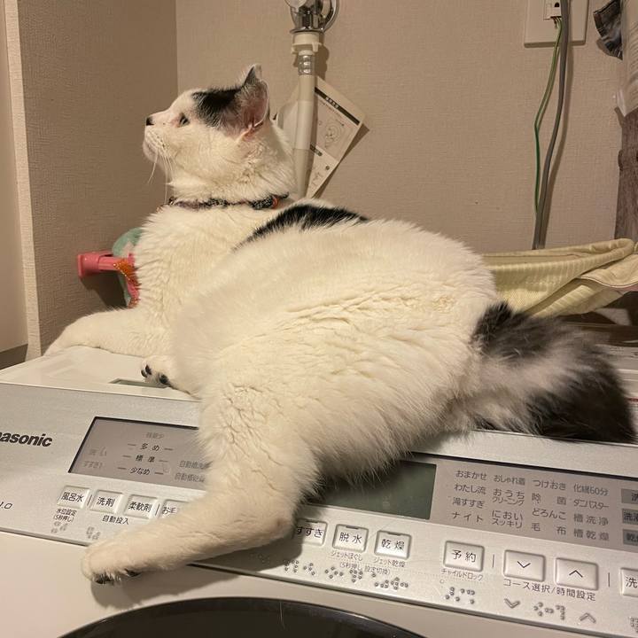 Ea9db6e2 6c42 4185 8509 4173ce23a961 1697067327427