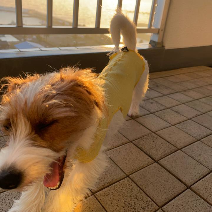 Ea9df9fa 9446 42be 91ae a7aefbf3ea3a 1763721673880