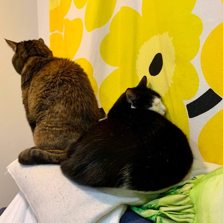 Ea9e1fff 1fd5 4995 bc21 1c7a12613ca3 1682112133681