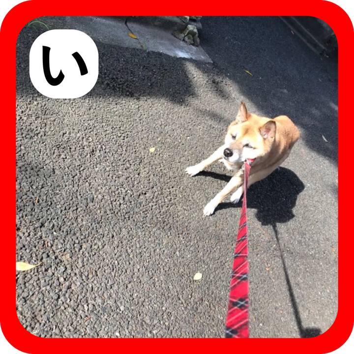 Ea9e773f f060 4299 a704 12cac96e5aeb 1514818500648