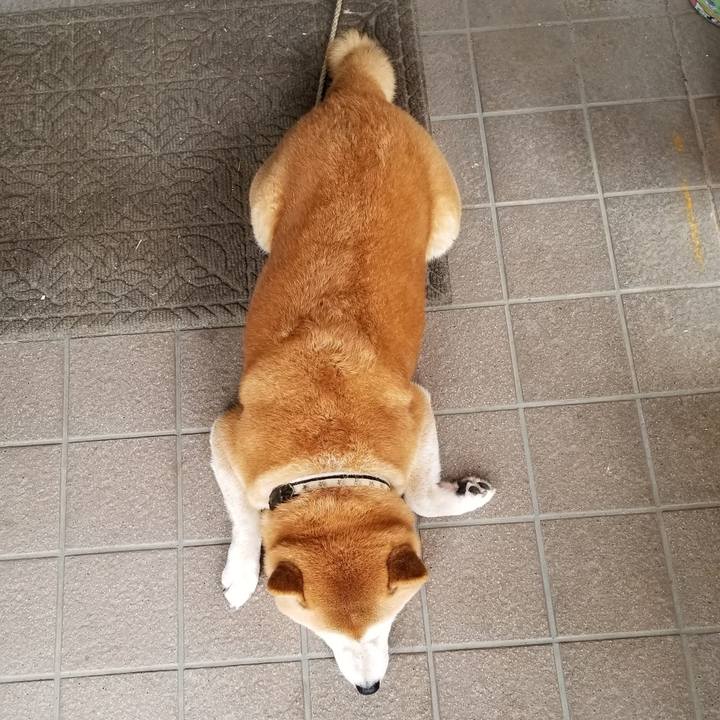 Ea9e7915 9988 4806 bf47 200d1748be90 1602549253260