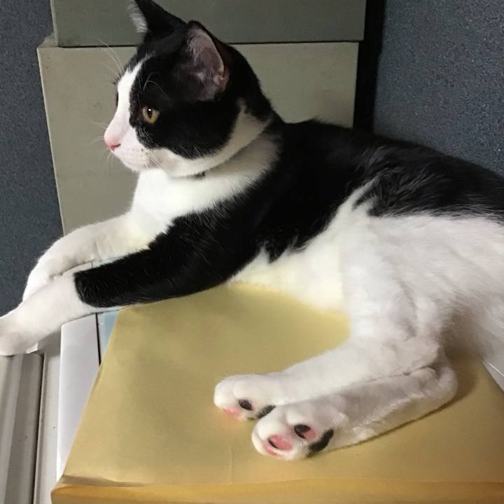 Ea9e8869 f2e0 42e9 962c e309c73163d1 1634464582548