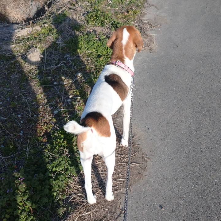 Ea9eb61e 0535 47f1 ae3b 5e887a05914c 1580545221555