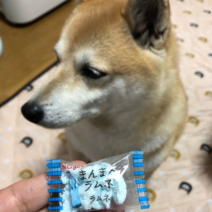 Ea9eb914 46e8 4b5f 872b a7f4ac3c3f7e 1557292535909