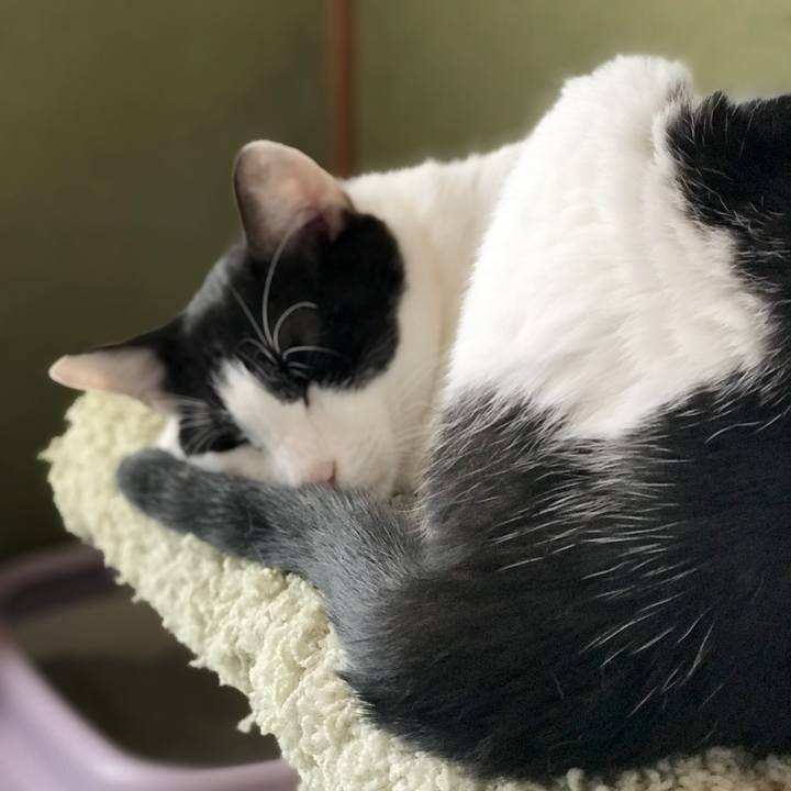 Ea9ebd02 71c0 4db6 8ae8 f3830a47076a 1536111515102