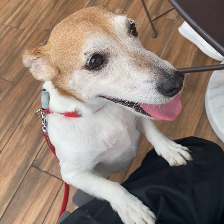 Ea9ee605 a710 4889 aca9 17b8fafd4bde 1730009816391