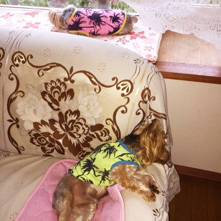 Ea9efdda 0382 4b76 a30d 8915f64efa4e 1526515434799