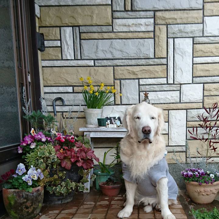 Ea9efe84 6773 4ed1 9fa0 7ecf920279dd 1514885260836