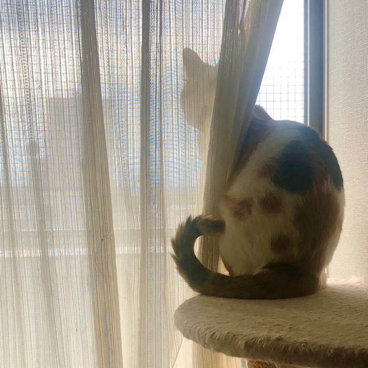 Ea9f00d3 09d5 46bd a645 c6f9a0ffe989 1602998949226