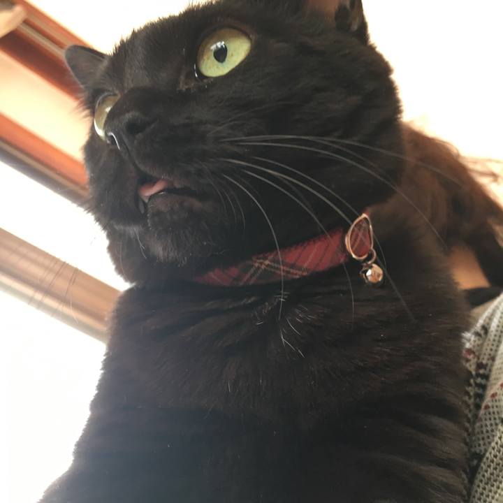 Ea9f1d00 a410 4983 b6ad 1b11b6b39417 1513854057830