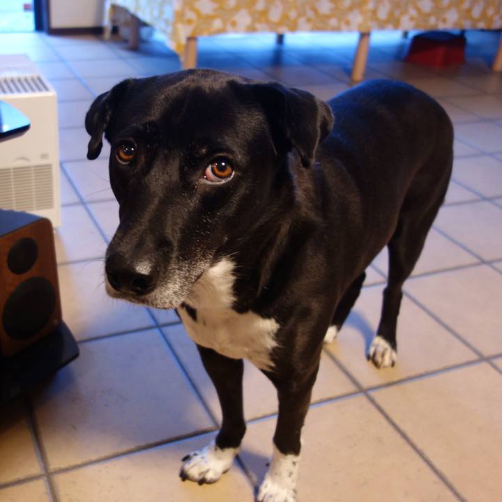 Ea9f2660 9ab3 4553 a2f1 aeb2cec35b80 1669339345383