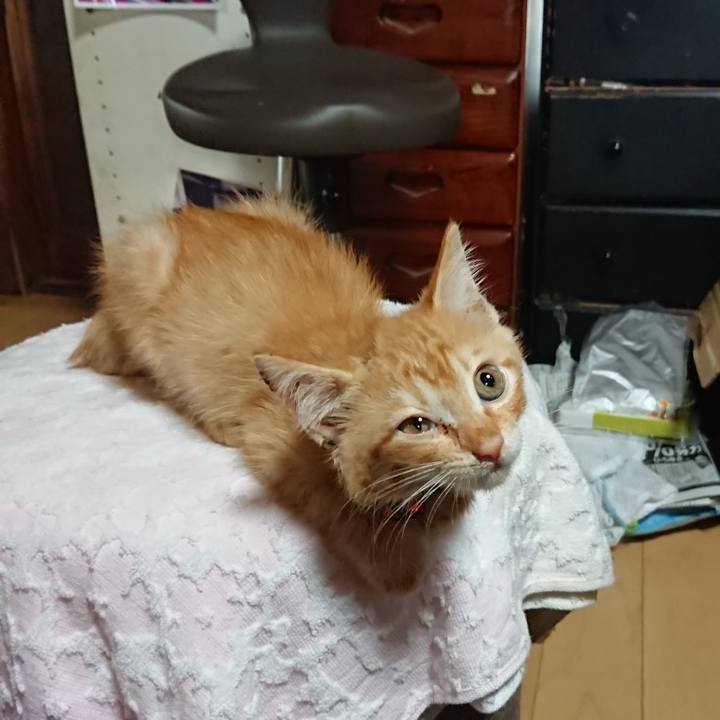 Ea9f4de4 7e5e 4266 a59e 84c4ce12aad0 1628384983613