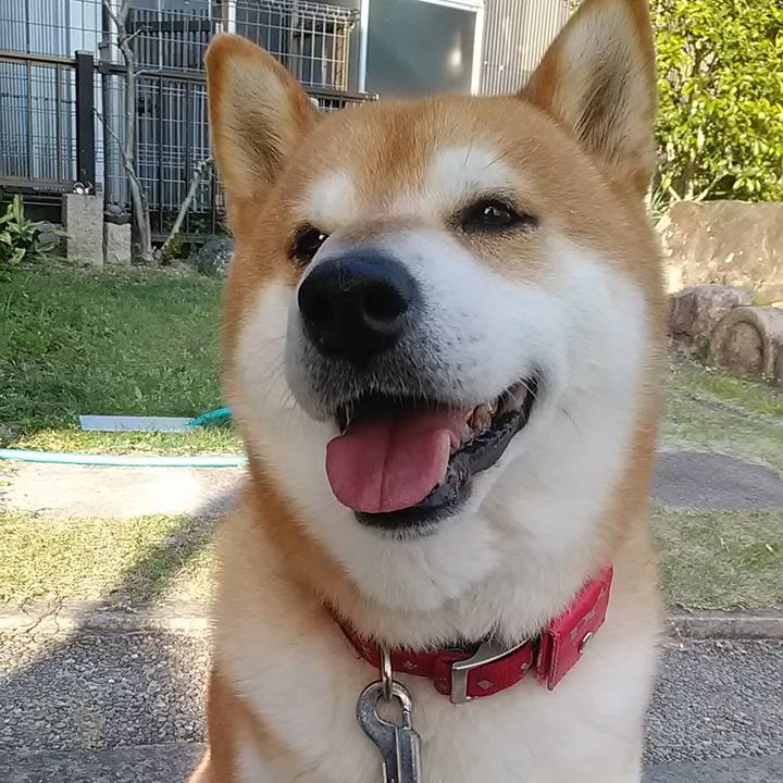 Ea9f6860 bbd5 47dc b541 c992e75efc7e 1650500273745